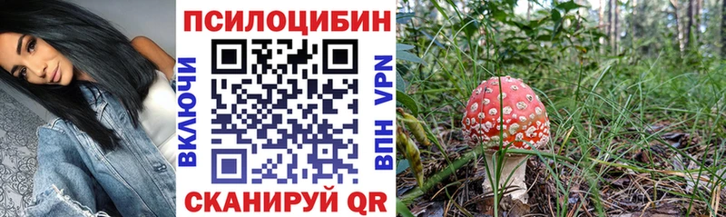 где купить наркоту  Чишмы  Псилоцибиновые грибы GOLDEN TEACHER 